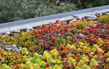 the cost of Smithy Houses green roof installation