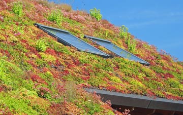 Smithy Houses living roof systems