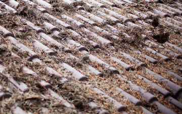 Smithy Houses roof cleaning companies