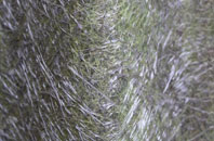 Smithy Houses fibreglass roof work